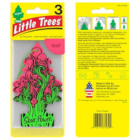 Thumbnail for LITTLE TREES Air Fresheners Car Air Freshener