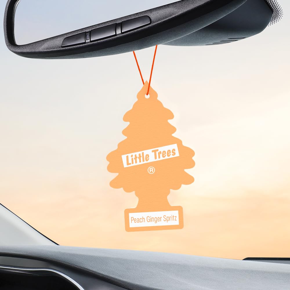 LITTLE TREES Air Fresheners Car Air Freshener