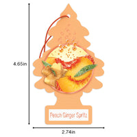Thumbnail for LITTLE TREES Air Fresheners Car Air Freshener