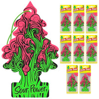 Thumbnail for LITTLE TREES Air Fresheners Car Air Freshener