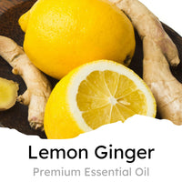 Thumbnail for Air Jungles Green Tea Scent Car Air Freshener Clip