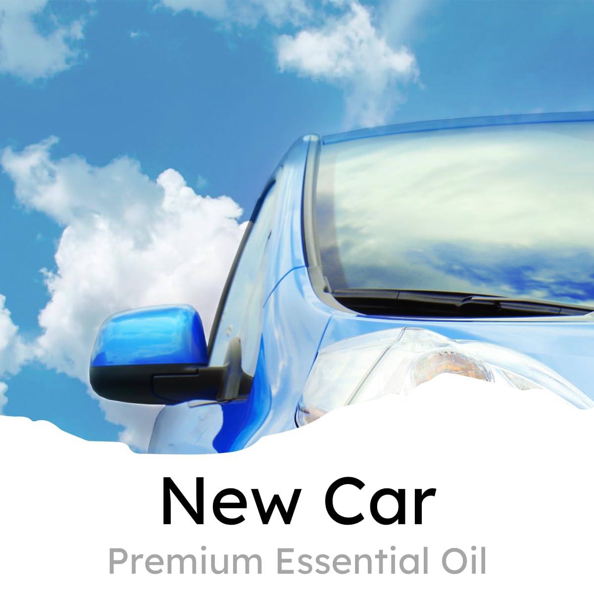 Air Jungles Green Tea Scent Car Air Freshener Clip