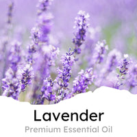 Thumbnail for Air Jungles Green Tea Scent Car Air Freshener Clip