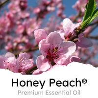 Thumbnail for Air Jungles Green Tea Scent Car Air Freshener Clip
