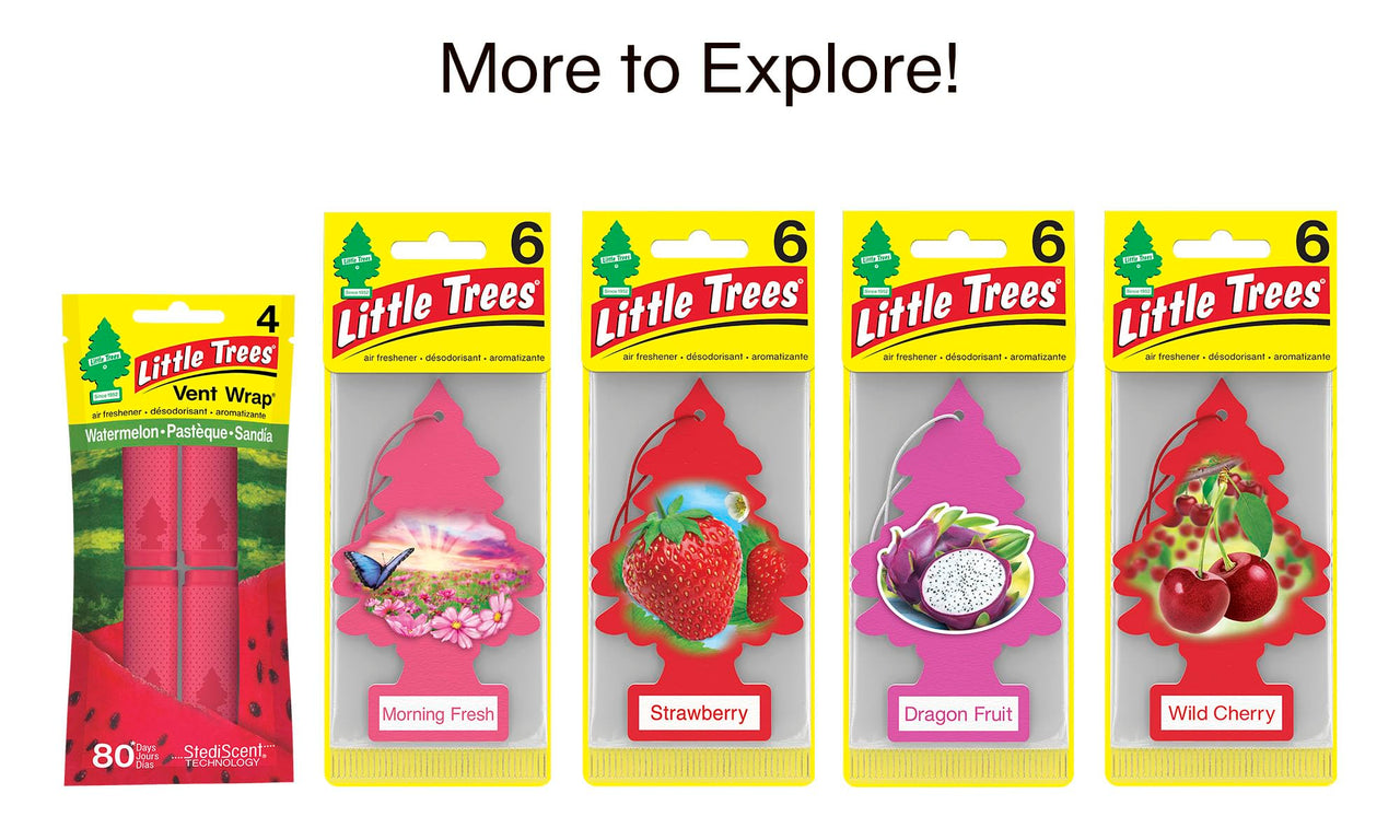 LITTLE TREES Air Fresheners Car Air Freshener