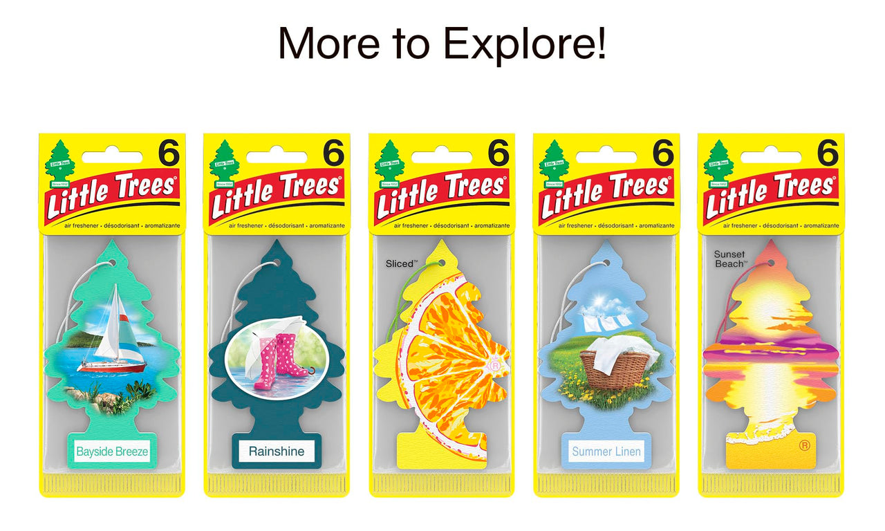 LITTLE TREES Air Fresheners Car Air Freshener