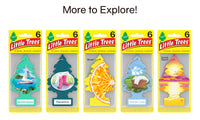 Thumbnail for LITTLE TREES Air Fresheners Car Air Freshener