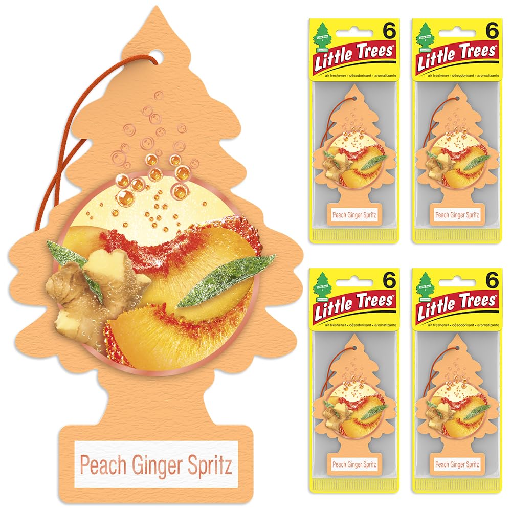 LITTLE TREES Air Fresheners Car Air Freshener
