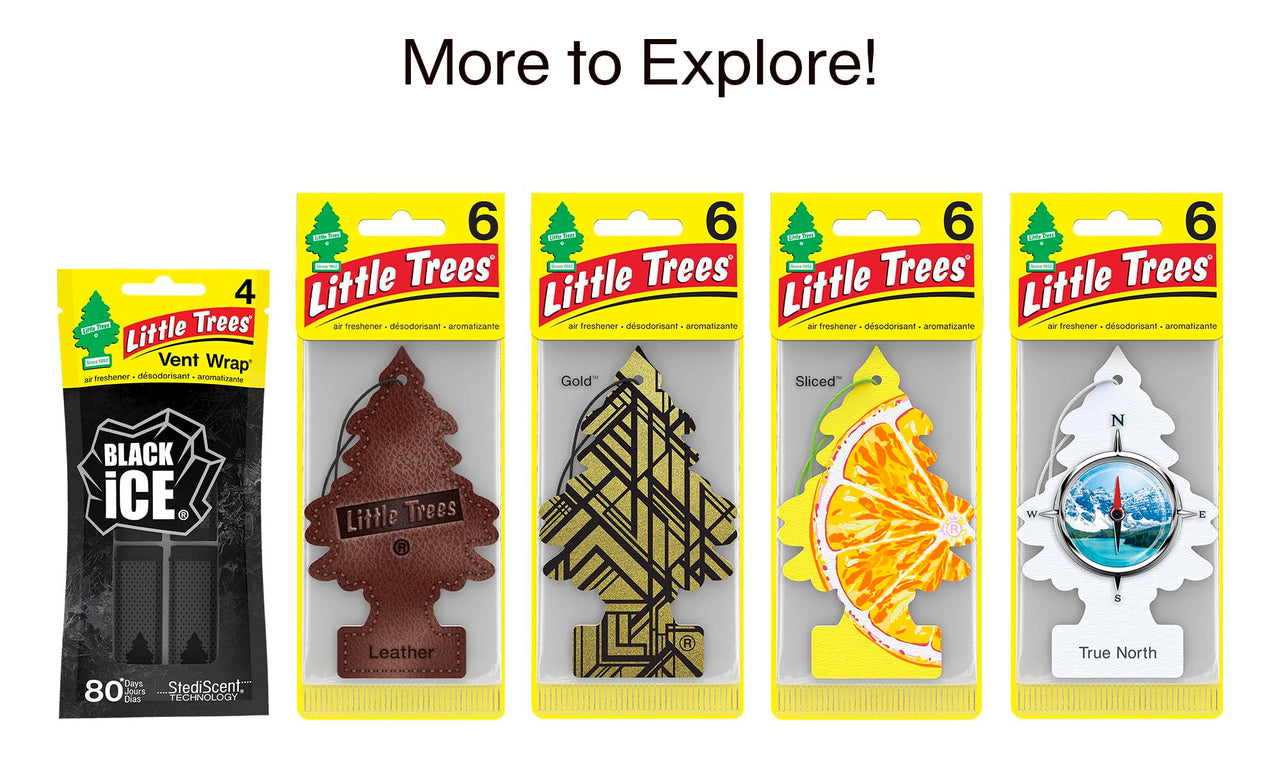 LITTLE TREES Air Fresheners Car Air Freshener