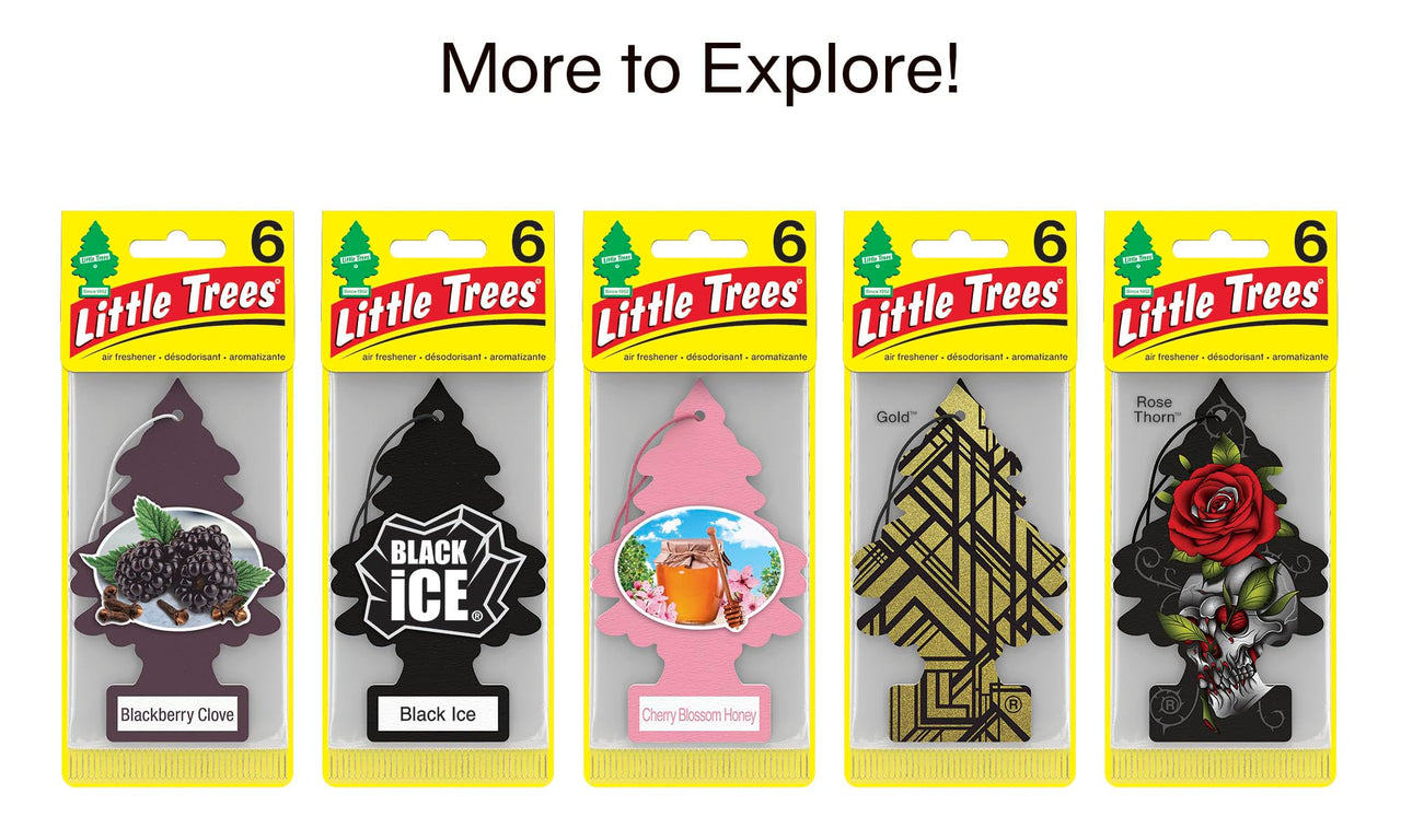 LITTLE TREES Air Fresheners Car Air Freshener